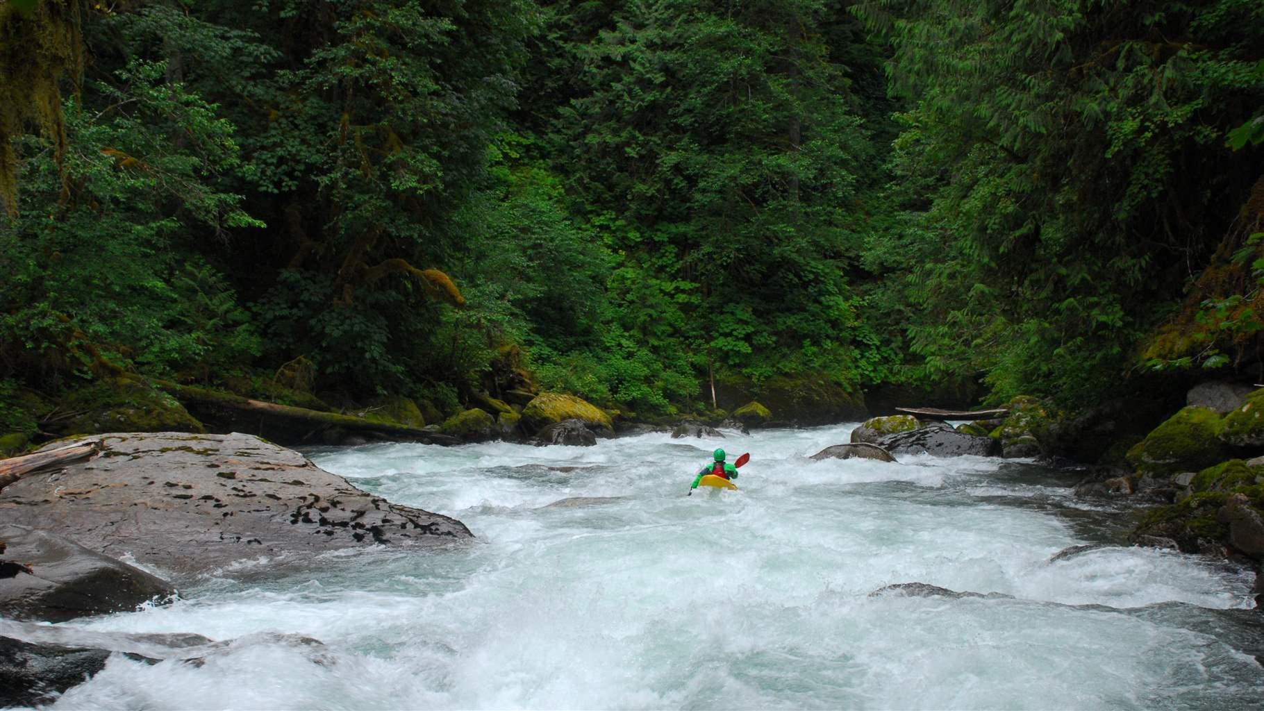 A whitewater kayaker runs down the center of a stretch of turbulent rapids on a river lined on both shores by large rock formations and dense, dark green forest.