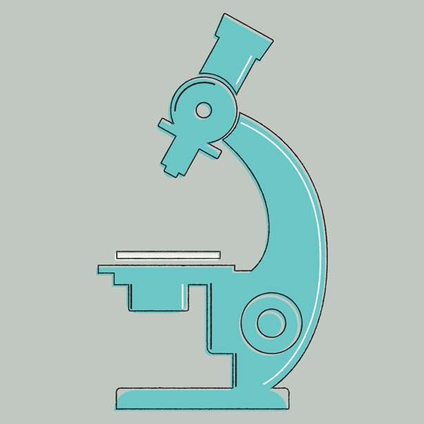 Illustration of a microscope
