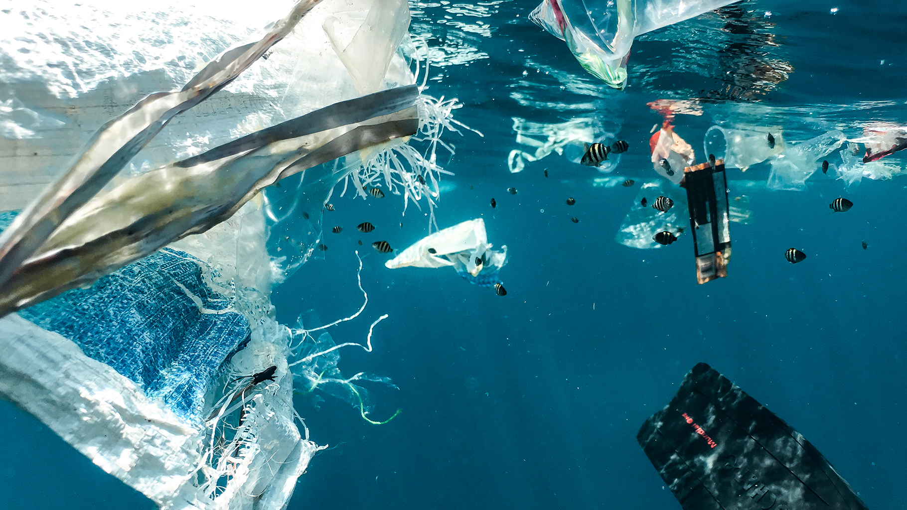 An under water image of trash floating in the ocean. 