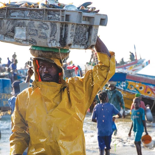 Senegal fisherman