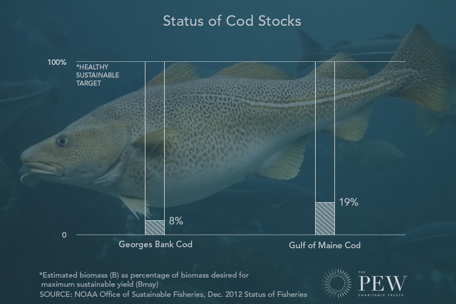 Status of Cod Stocks
