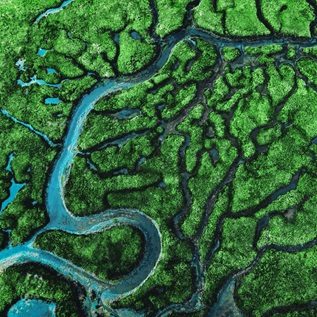 Aerial view of a meandering river surrounded by lush greenery and numerous smaller feeder streams. The river curves its way through the landscape, reflecting the sunlight. The colors of the foliage contrast with the blue water. 