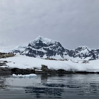 A rocky beach terrain in Antarctica covered in snow, with a colony of penguins seemingly building nests.